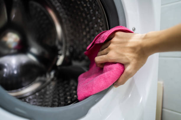 Best Biohazard Mold Removal  in Burlington, WA