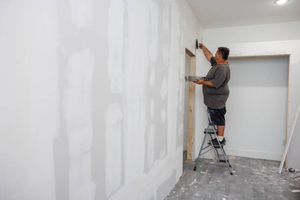 Dehumidification Services in Burlington, WA