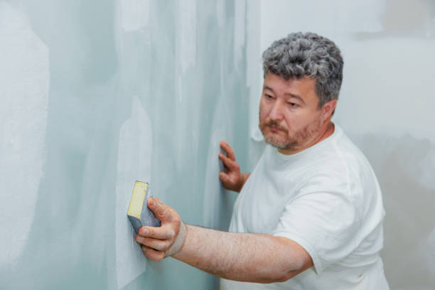 Best Basement Mold Removal  in Burlington, WA