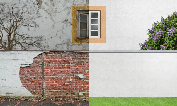 Best Forensic Mold Investigation  in Burlington, WA