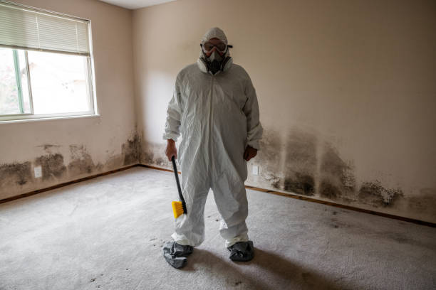 Mold Remediation for Rental Properties in Burlington, WA