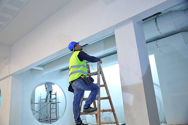 Best Mold Remediation for Rental Properties  in Burlington, WA